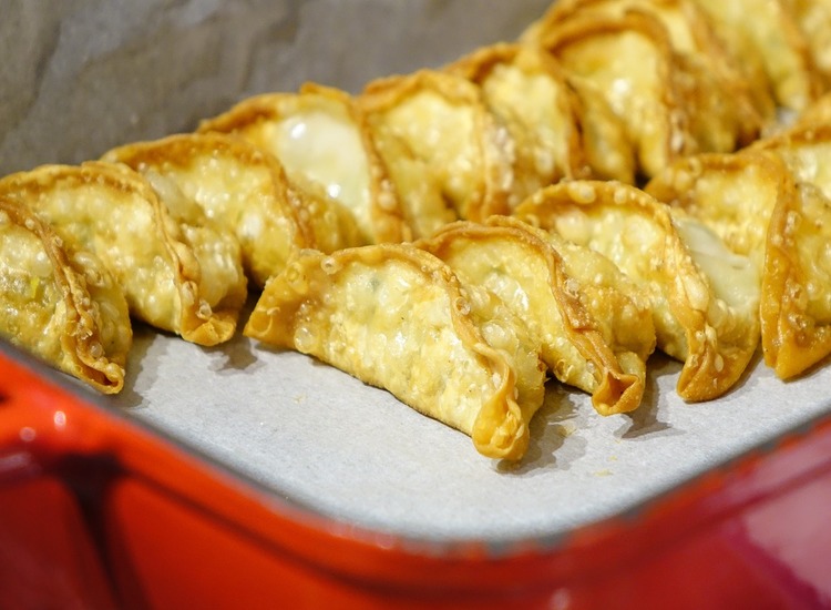 Dumplings Recipe - Fried Pork Gyoza Dumplings